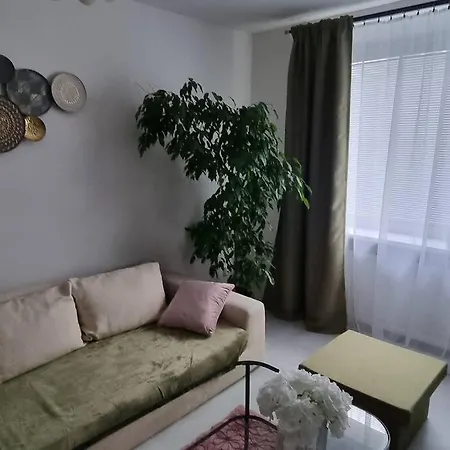 V Centre Mesta Apartman *